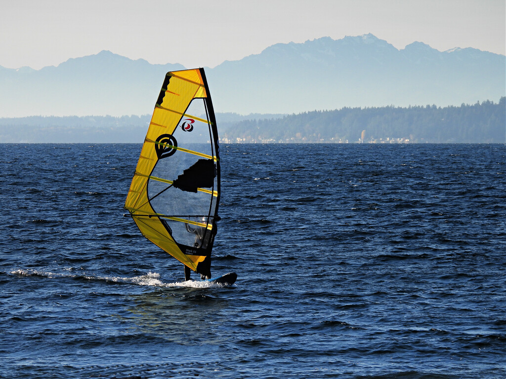Windsurfing by seattlite