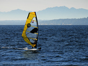 25th Nov 2022 - Windsurfing