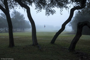 25th Nov 2022 - Golf Course in Fog