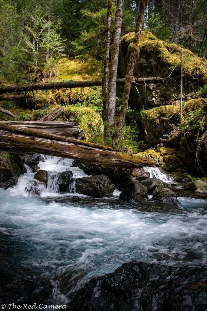 Logs and water fall by theredcamera