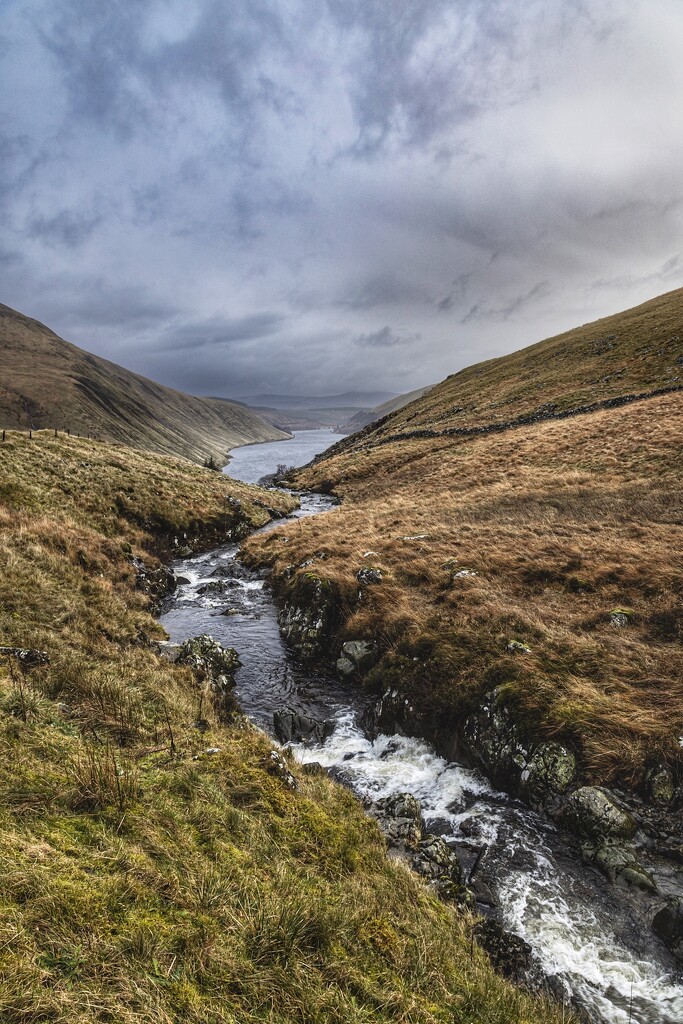 Into the Scottish Borders….,, by billdavidson