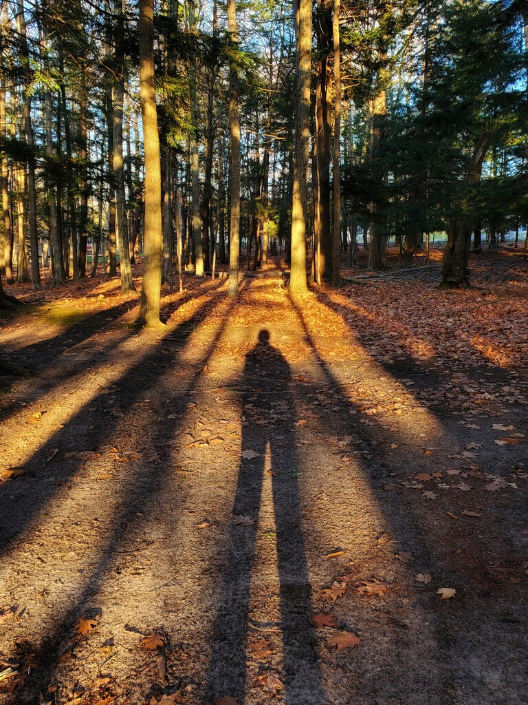 shadow selfie by edorreandresen