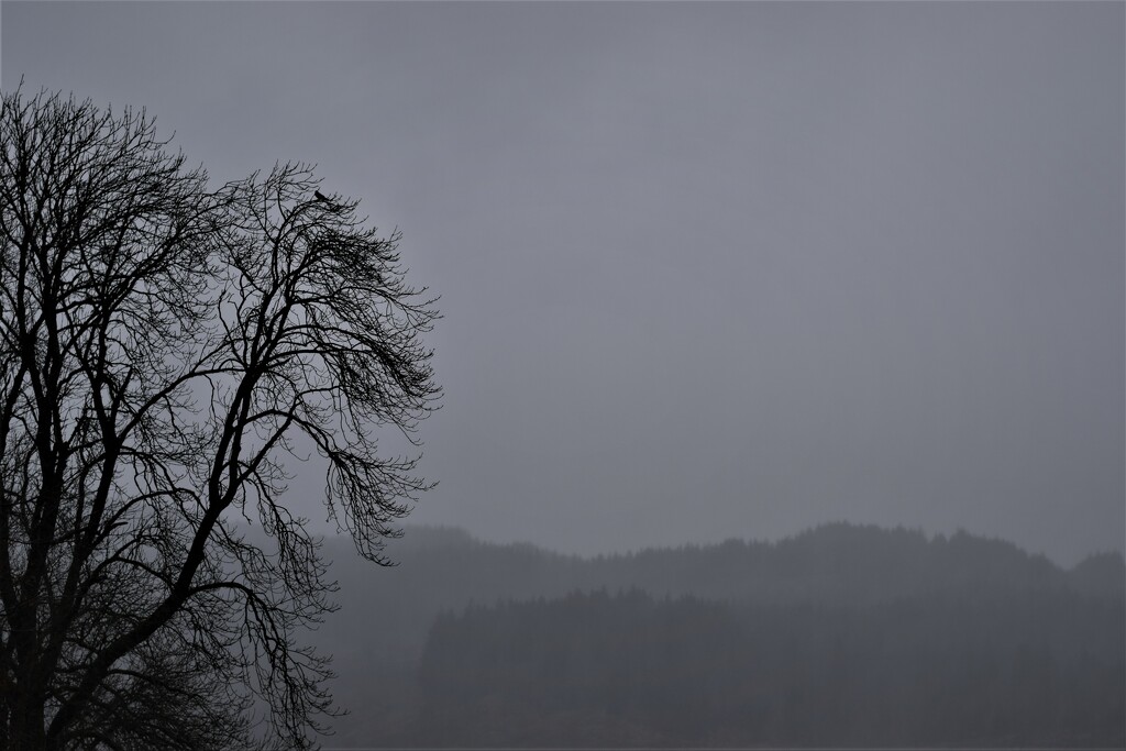 grey day by christophercox