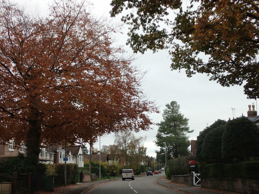 Suburban street on a dull day. by speedwell