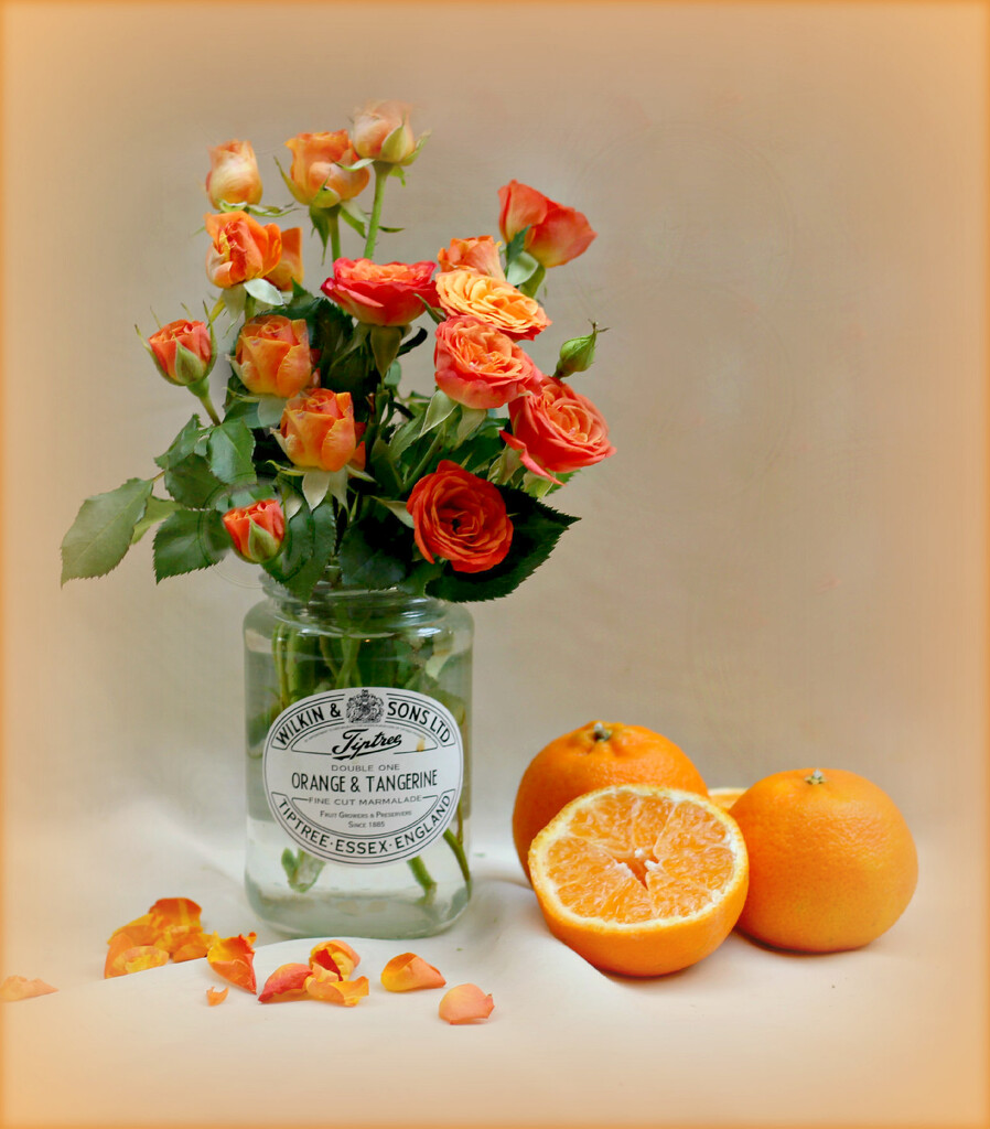 Orange  by wendyfrost