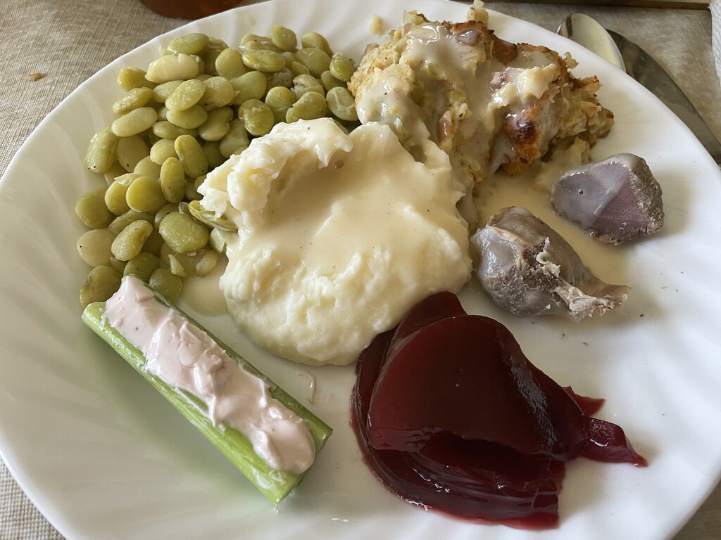 My Thanksgiving plate by homeschoolmom