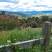Across the Omeo Valley 