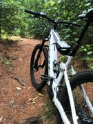 28th Sep 2022 - Hired a E-Mountain Bike today - lots of fun :)