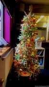 27th Nov 2022 - Christmas tree