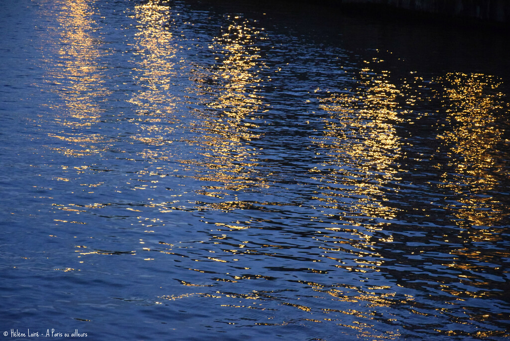 gold in the Seine by parisouailleurs