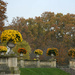 November in the Garden du Luxembourg by parisouailleurs