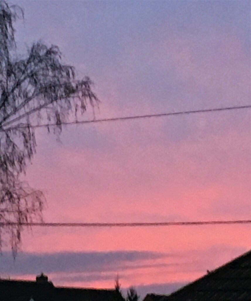 Lovely sky tonight by 365anne
