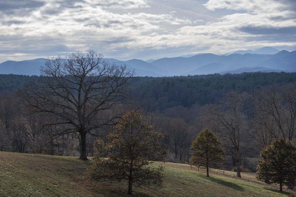 The Blue Ridge Mountains by cwbill