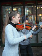 27th Nov 2022 - a pair of fiddlers