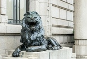 28th Nov 2022 - Lion Statue