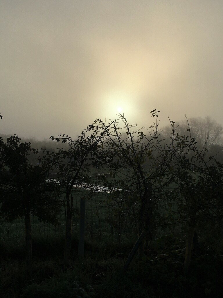 Misty sun rise by 365anne