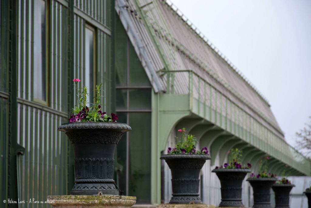 Jardin des Plantes by parisouailleurs