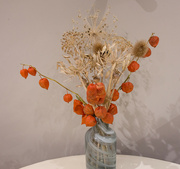 28th Nov 2022 - Chinese lanterns and seed heads