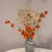 Chinese lanterns and seed heads