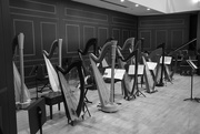 28th Nov 2022 - Harps