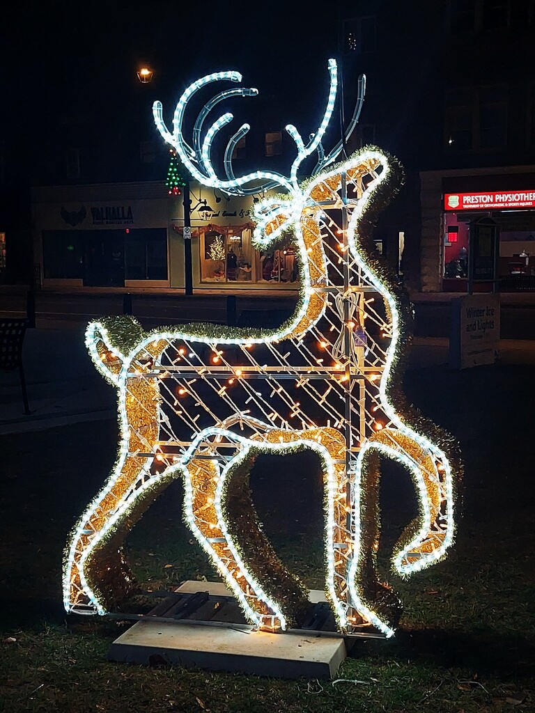 Christmas Deer by princessicajessica