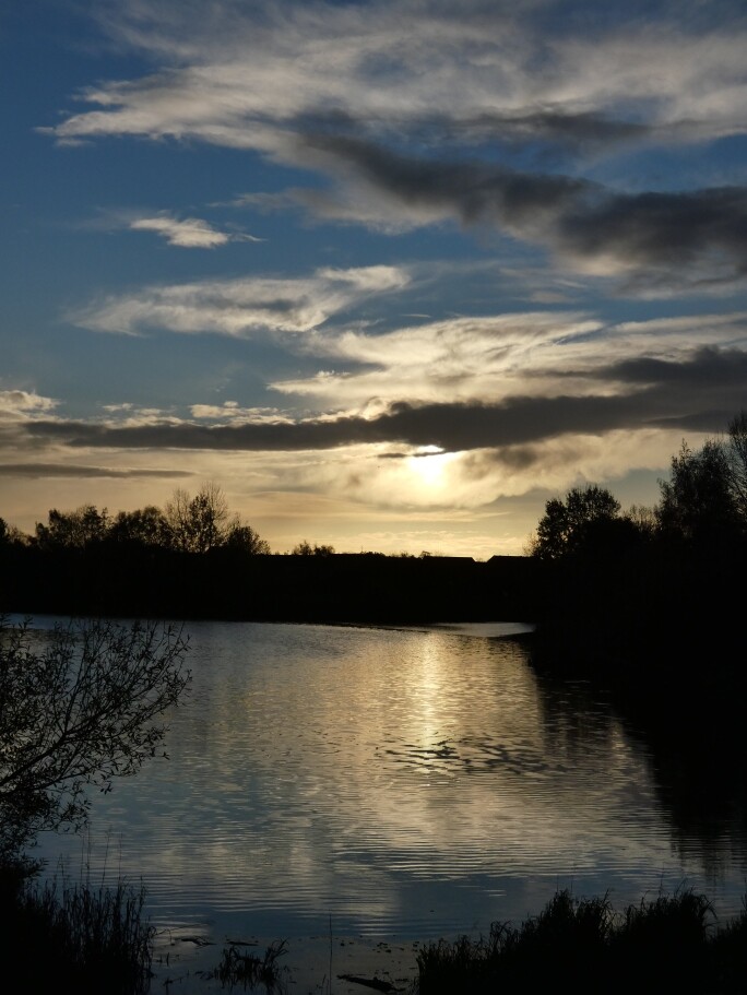 Late Afternoon beside Rawcliffe Lake by fishers