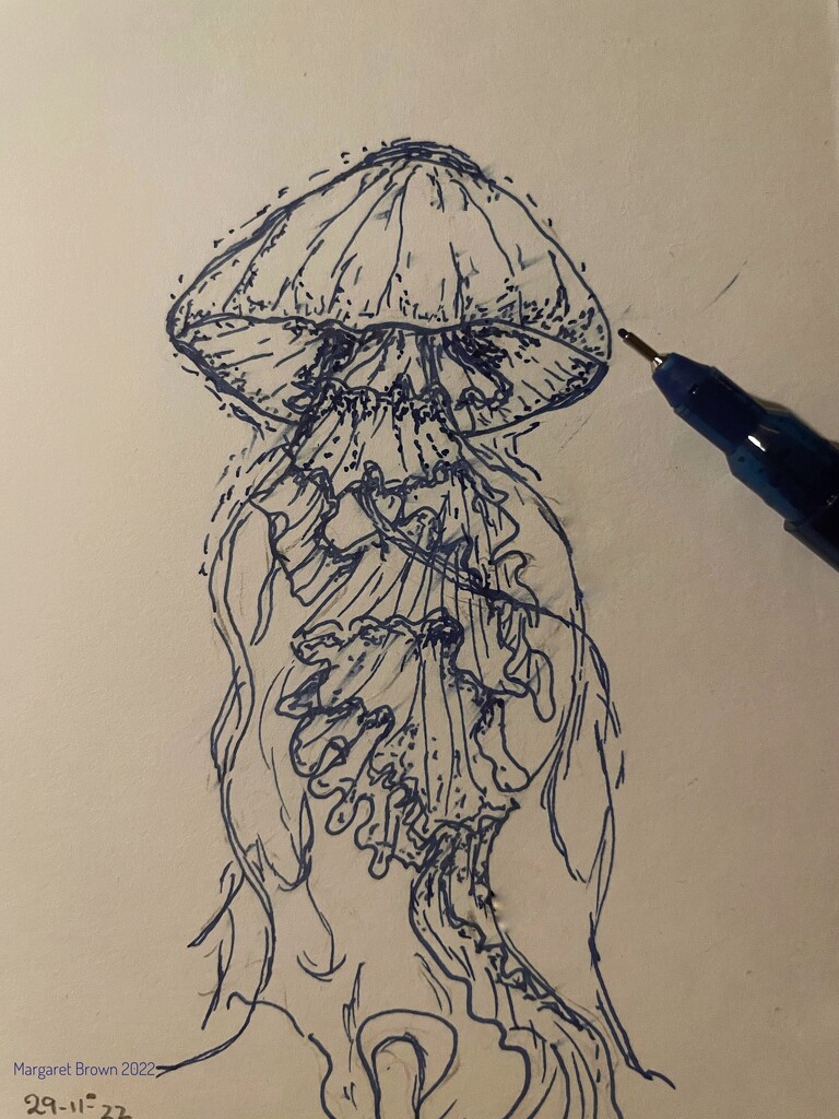 Jellyfish by craftymeg