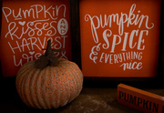 15th Nov 2022 - Pumpkin decor