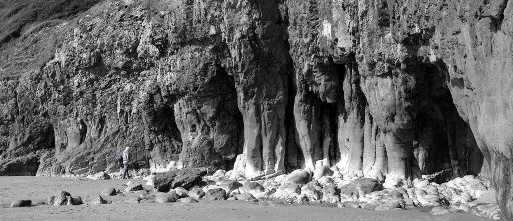 Cliff at Pendine Sands by dulciknit
