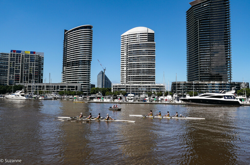 Busy morning on the Yarra by ankers70