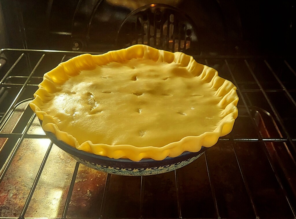 Turkey Pot Pie Baking by harbie