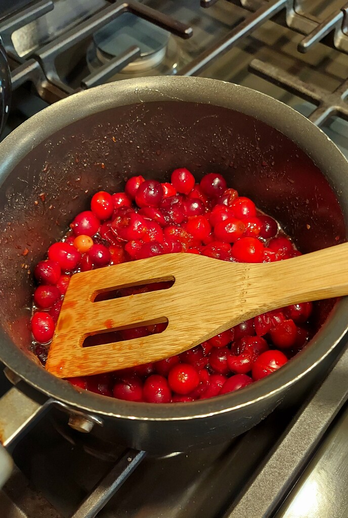 Making Cranberry Sauce by harbie