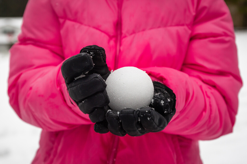 The Perfect Snowball by tina_mac