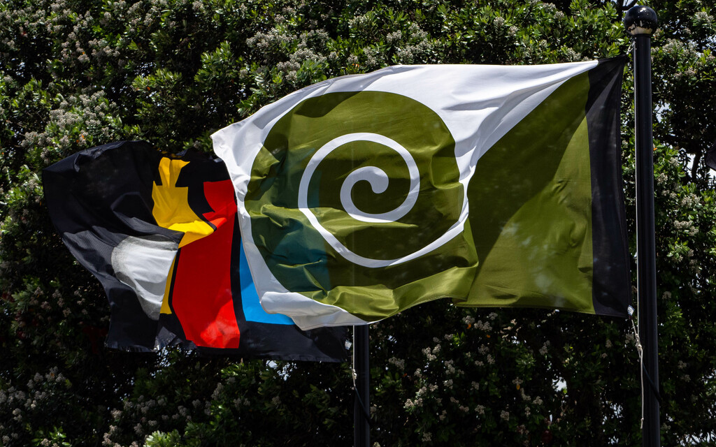 An alternate NZ flag by christinav