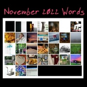 1st Dec 2022 - November 2022 Words