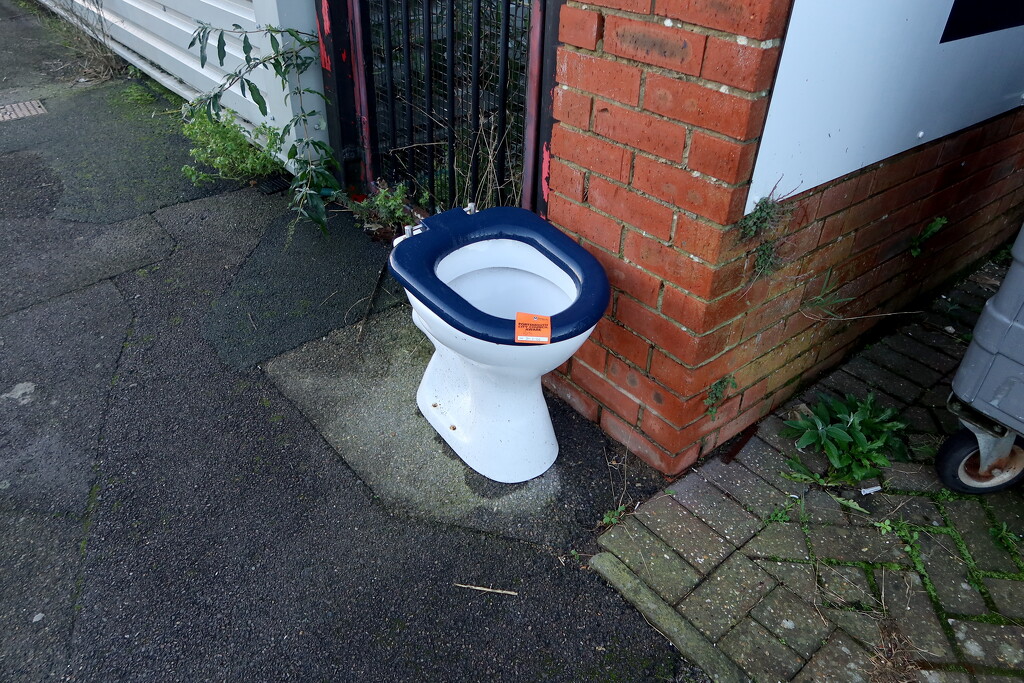 Public Toilet by davemockford