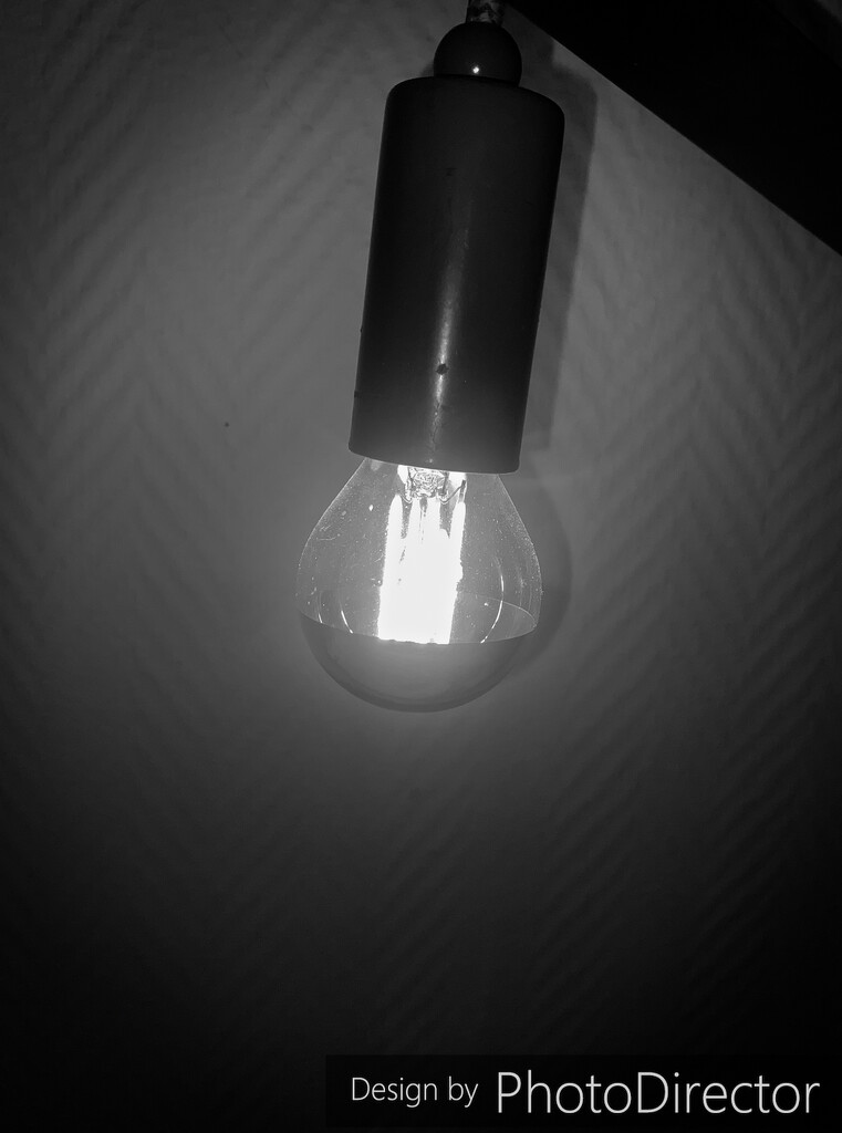 Nov 15 2022 - Light Bulb by jojo13