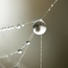Droplets  by gaillambert