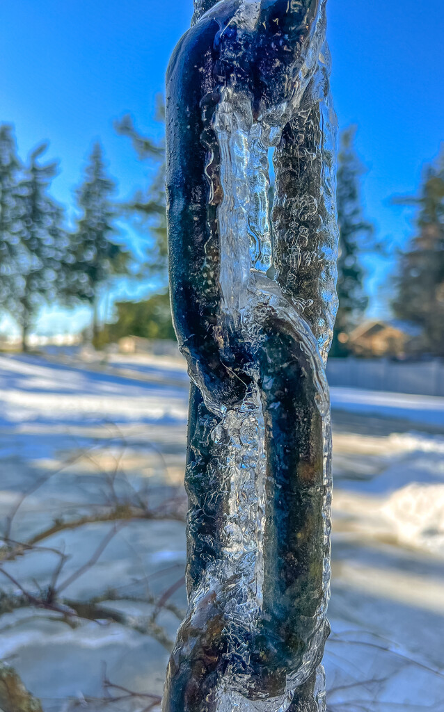 Frozen by kwind
