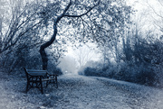 2nd Dec 2022 - a lonely bench on a misty day