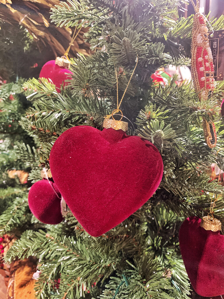 Red heart on a Christmas tree.  by cocobella