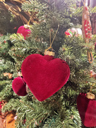 2nd Dec 2022 - Red heart on a Christmas tree. 