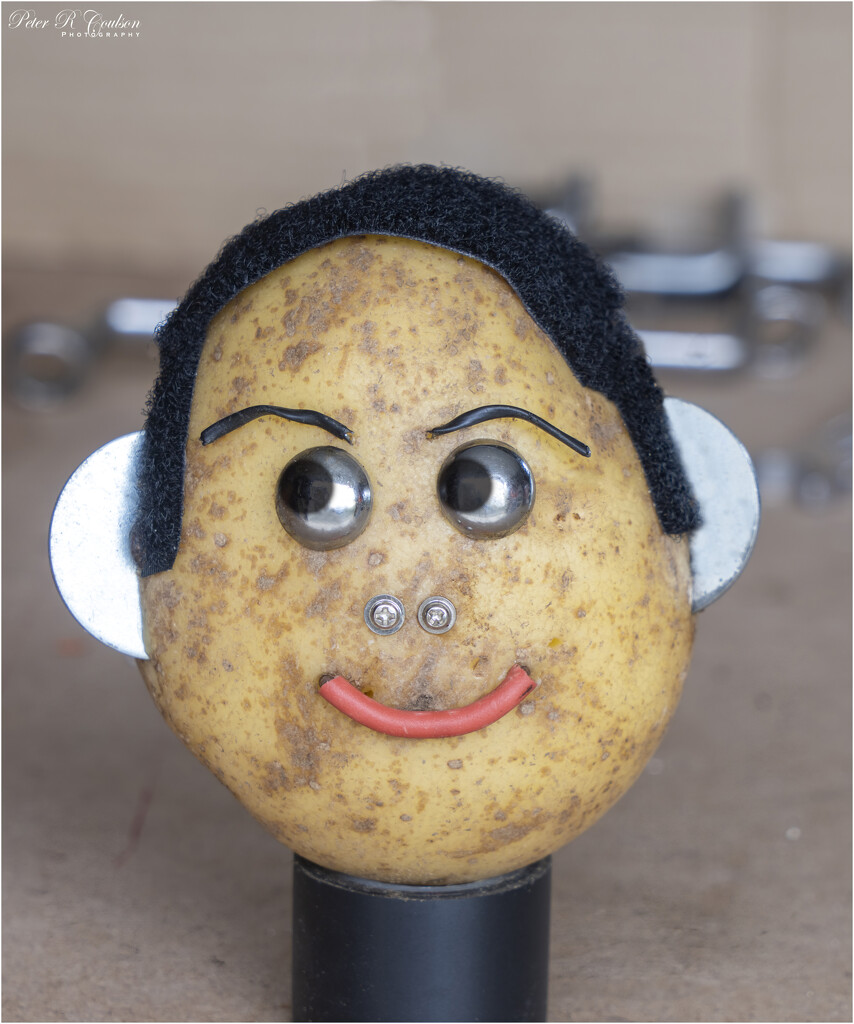 Spud by pcoulson