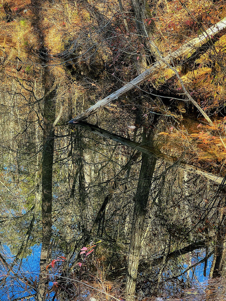 Late Fall Reflections by k9photo