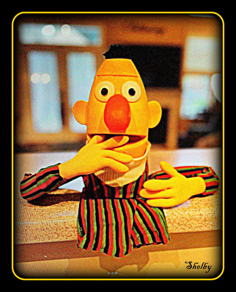 Bert puppet Packed in my Garage by vernabeth