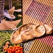 Shell Brochure and placemat by happman