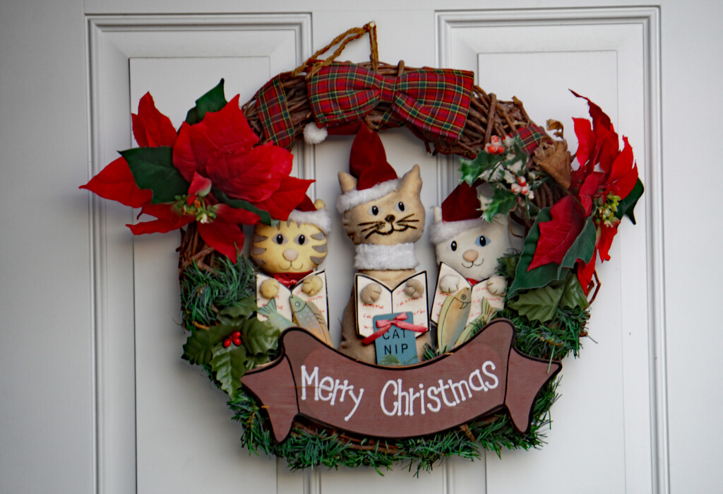 Kitty holiday wreath by larrysphotos