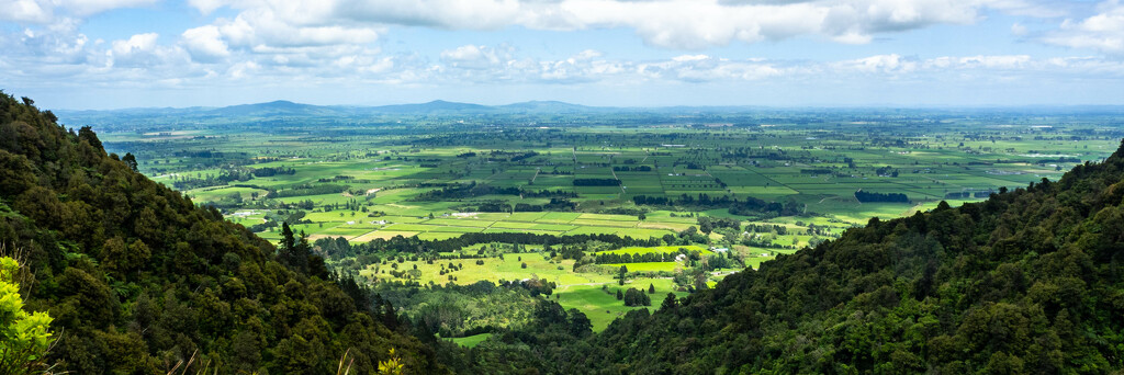 The Waikato Plains by christinav