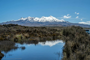 4th Dec 2022 - Mount Ruapehu reflected