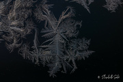 4th Dec 2022 - Snow crystal